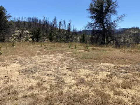 11306 Tanstaafl Ln, Redding, CA 96001 photo 3