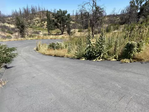 11306 Tanstaafl Ln, Redding, CA 96001 photo 5