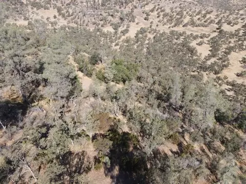 9068 Straight Arrow Rd, Igo, CA 96047 photo 14