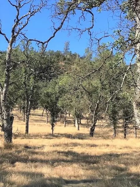 9068 Straight Arrow Rd, Igo, CA 96047 photo 7