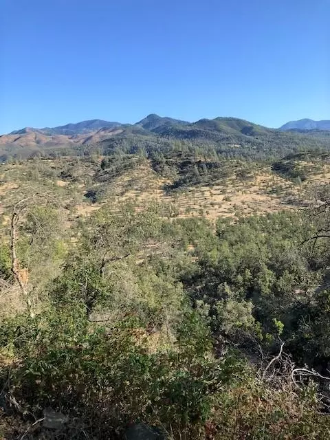 9068 Straight Arrow Rd, Igo, CA 96047 photo 16