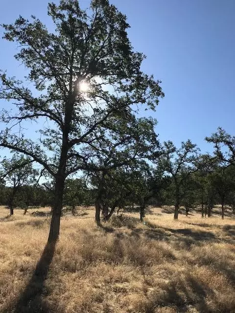 9068 Straight Arrow Rd, Igo, CA 96047 photo 6