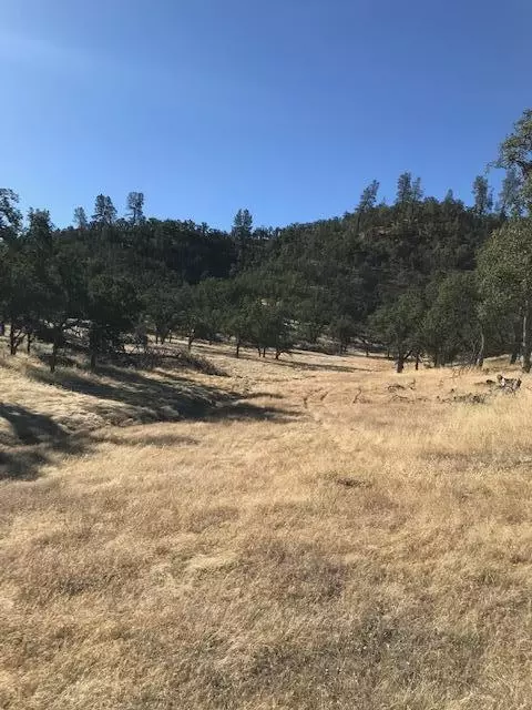 9068 Straight Arrow Rd, Igo, CA 96047 photo 2