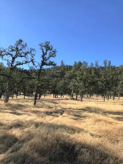 9068 Straight Arrow Rd, Igo, CA 96047 photo 4