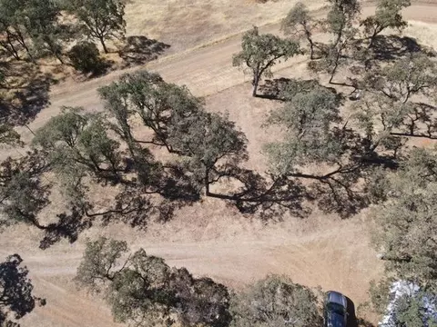 9068 Straight Arrow Rd, Igo, CA 96047 photo 21