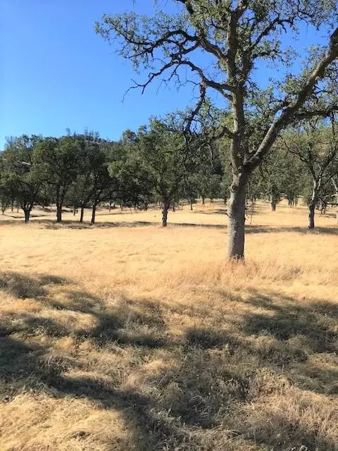 9068 Straight Arrow Rd, Igo, CA 96047 photo 10