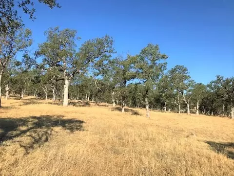 9068 Straight Arrow Rd, Igo, CA 96047 photo 8