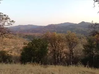 9068 Straight Arrow Rd, Igo, CA 96047 photo 26