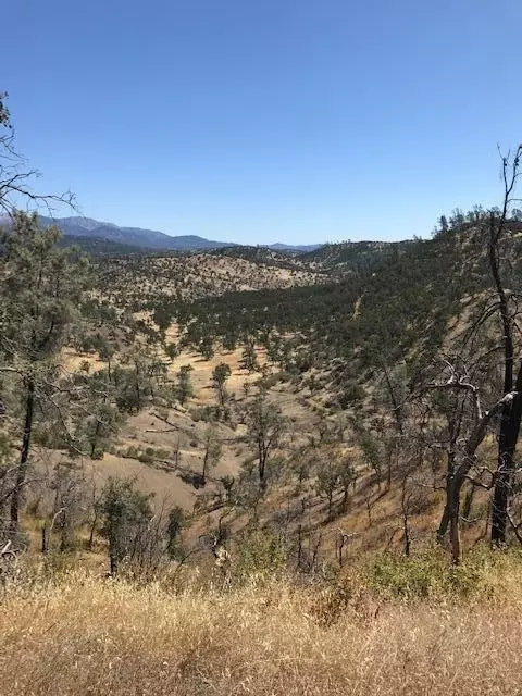 9068 Straight Arrow Rd, Igo, CA 96047 photo 20