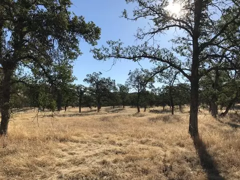 9068 Straight Arrow Rd, Igo, CA 96047 photo 3