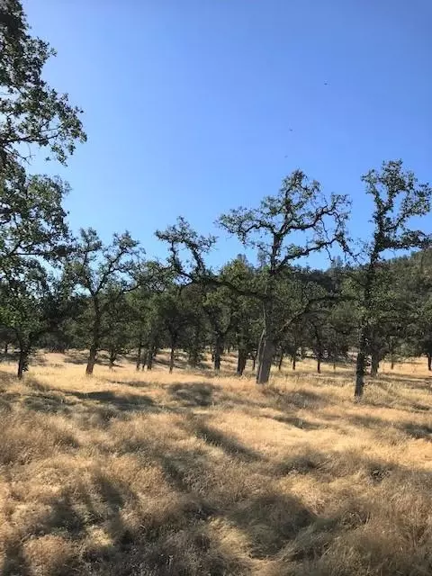 9068 Straight Arrow Rd, Igo, CA 96047 photo 5