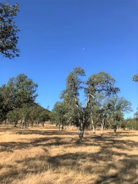 9068 Straight Arrow Rd, Igo, CA 96047 photo 18