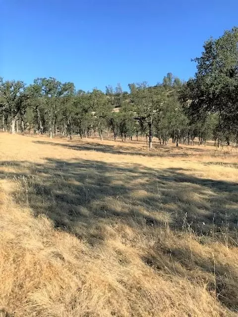 9068 Straight Arrow Rd, Igo, CA 96047 photo 9