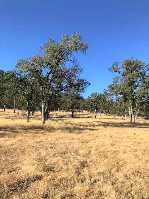 9068 Straight Arrow Rd, Igo, CA 96047 photo 12