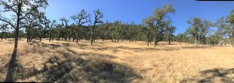 9068 Straight Arrow Rd, Igo, CA 96047 photo 1