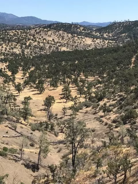 9068 Straight Arrow Rd, Igo, CA 96047 photo 19