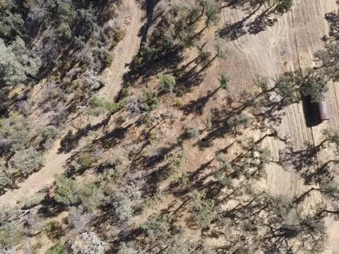 9068 Straight Arrow Rd, Igo, CA 96047 photo 13