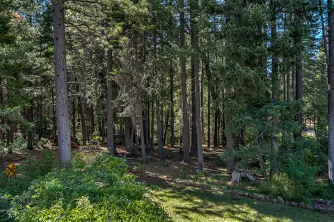 7850 Saint Eustace Dr, Shingletown, CA 96088 photo 43