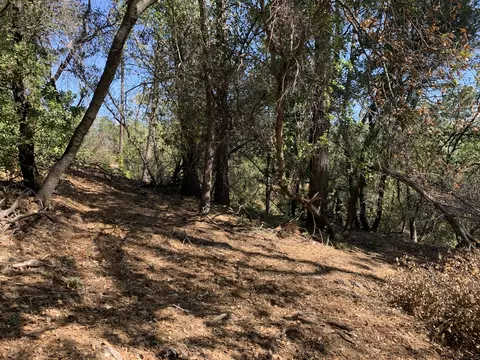 13630 Echo Hill Rd, Redding, CA 96003 photo 16