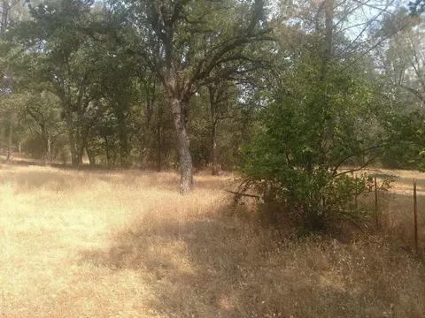 13630 Echo Hill Rd, Redding, CA 96003 photo 7