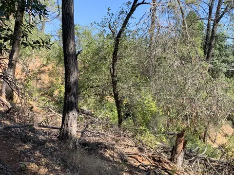 13630 Echo Hill Rd, Redding, CA 96003 photo 14