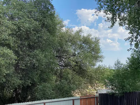 1250 Britt Ln, Red Bluff, CA 96080 photo 15