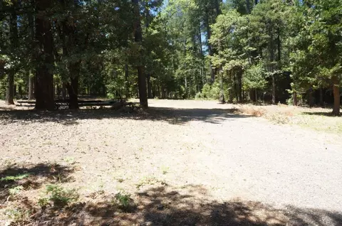 210 Trinity Mdws, Trinity Center, CA 96091 photo 12