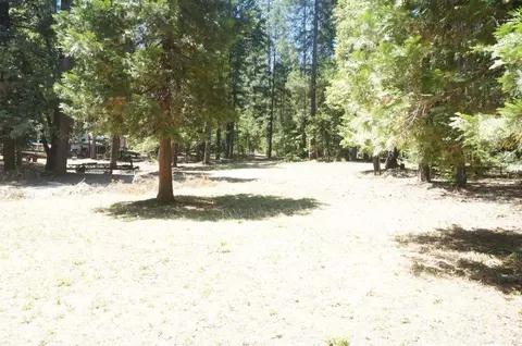 210 Trinity Mdws, Trinity Center, CA 96091 photo 3