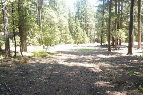 210 Trinity Mdws, Trinity Center, CA 96091 photo 8