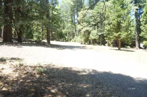 210 Trinity Mdws, Trinity Center, CA 96091 photo 14