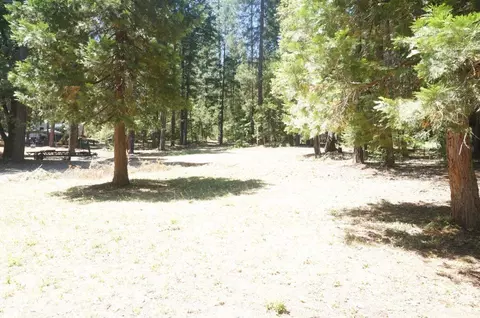 210 Trinity Mdws, Trinity Center, CA 96091 photo 2