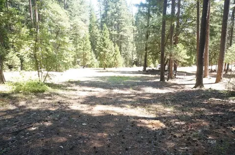 210 Trinity Mdws, Trinity Center, CA 96091 photo 10