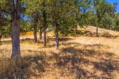10810 Oak Run Rd, Oak Run, CA 96069 photo 15