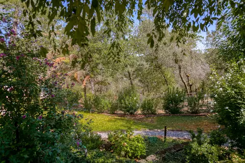 2916 Panorama Dr, Redding, CA 96003 photo 100