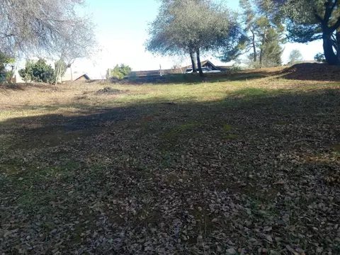 3360 Mountain Oak Dr, Redding, CA 96001 photo 5