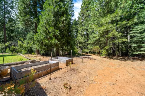 30892 Dandelion Ln, Shingletown, CA 96088 photo 67