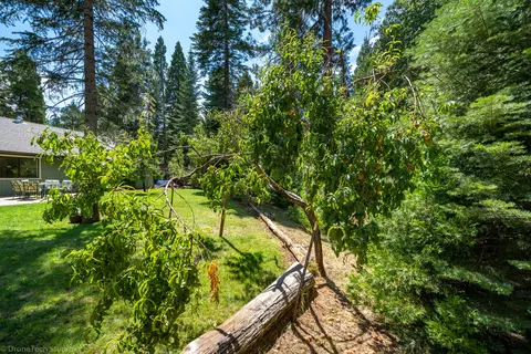30892 Dandelion Ln, Shingletown, CA 96088 photo 8