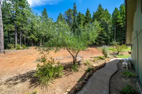 30892 Dandelion Ln, Shingletown, CA 96088 photo 53