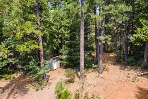 30892 Dandelion Ln, Shingletown, CA 96088 photo 71