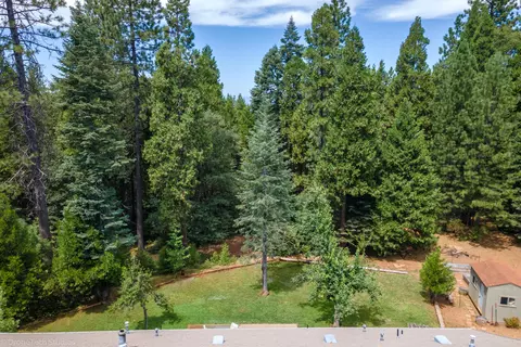 30892 Dandelion Ln, Shingletown, CA 96088 photo 60