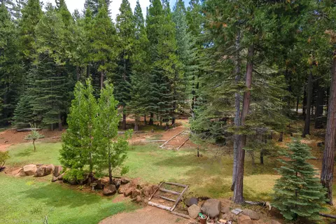 30892 Dandelion Ln, Shingletown, CA 96088 photo 72