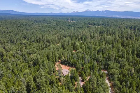30892 Dandelion Ln, Shingletown, CA 96088 photo 66