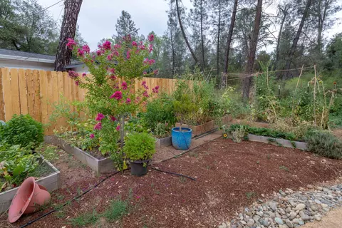 17867 Walker Mine Rd, Redding, CA 96003 photo 37