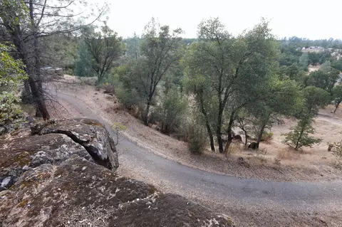 21966 Squaw Grass Trl, Redding, CA 96003 photo 31