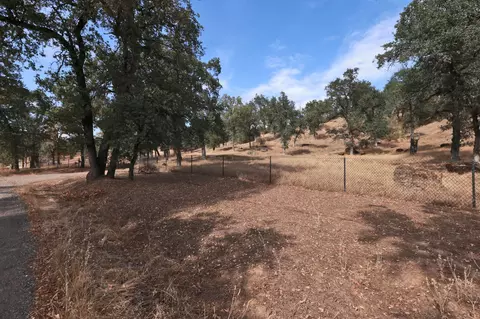 21966 Squaw Grass Trl, Redding, CA 96003 photo 24