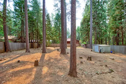 30519 Figaro Dr, Shingletown, CA 96088 photo 34