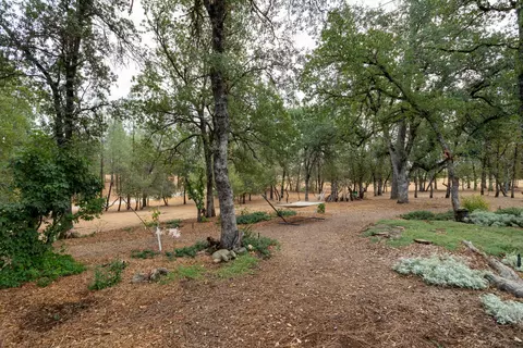 11701 Helena Dr, Redding, CA 96003 photo 38