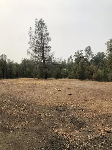 21346 Stallion Ln, Redding, CA 96003 photo 12