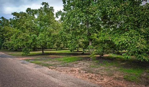 22344 Gilmore Ranch Rd, Red Bluff, CA 96080 photo 70