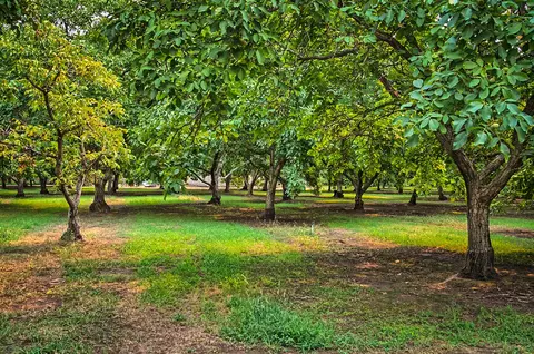 22344 Gilmore Ranch Rd, Red Bluff, CA 96080 photo 62